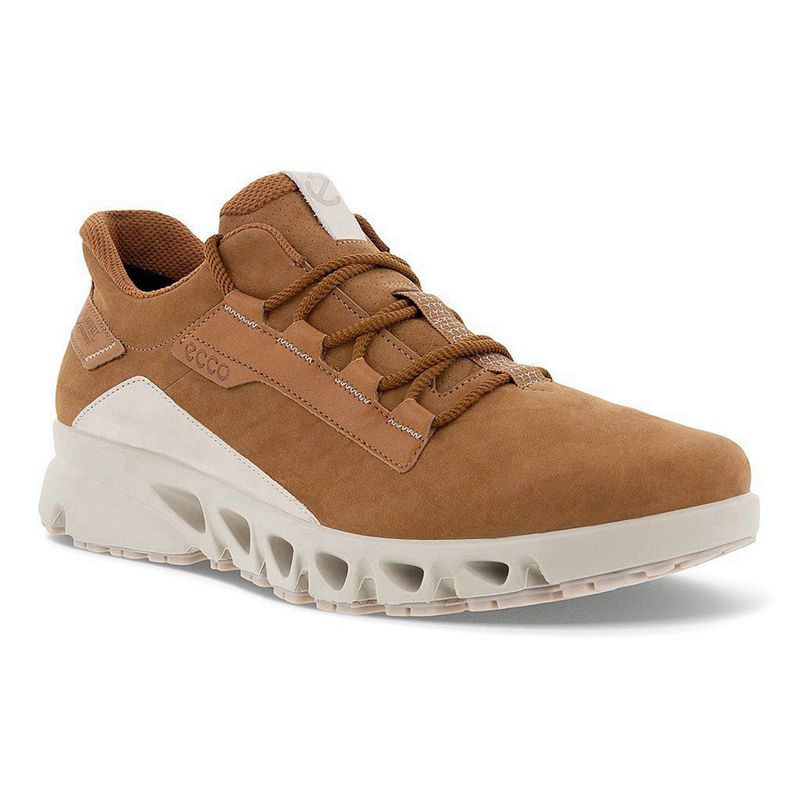 Men Ecco Multi-Vent M - Gore-Tex Brown - India BEVWPD140